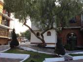 Suites Lago Lirios