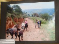 Exposicion Fotografica Lado Humano Bicicleta